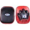 Winning CM-10 Red/Black Punch Mitts