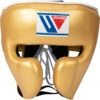 Winning Gold FG-2900 Head Guard -Boxing Discount Store FGGLD c
