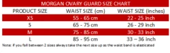 Morgan Sports Ladies Ovary Protector -Boxing Discount Store GP 3 c