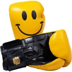 Raja Boxing Smile Leather Boxing Gloves -Boxing Discount Store RFBGV 1 SM c 2