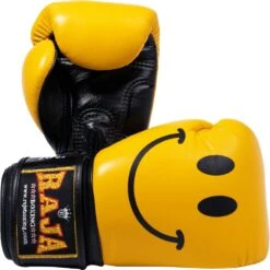Raja Boxing Smile Leather Boxing Gloves