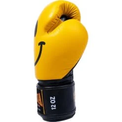 Raja Boxing Smile Leather Boxing Gloves -Boxing Discount Store RFBGV 1 SM c 4