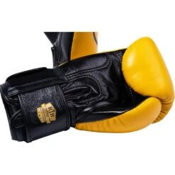 Raja Boxing Smile Leather Boxing Gloves -Boxing Discount Store RFBGV 1 SM c 7