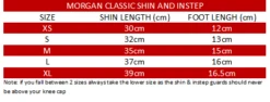Morgan Sports V2 Classic Shin &amp; Instep -Boxing Discount Store SG 11 V2 c